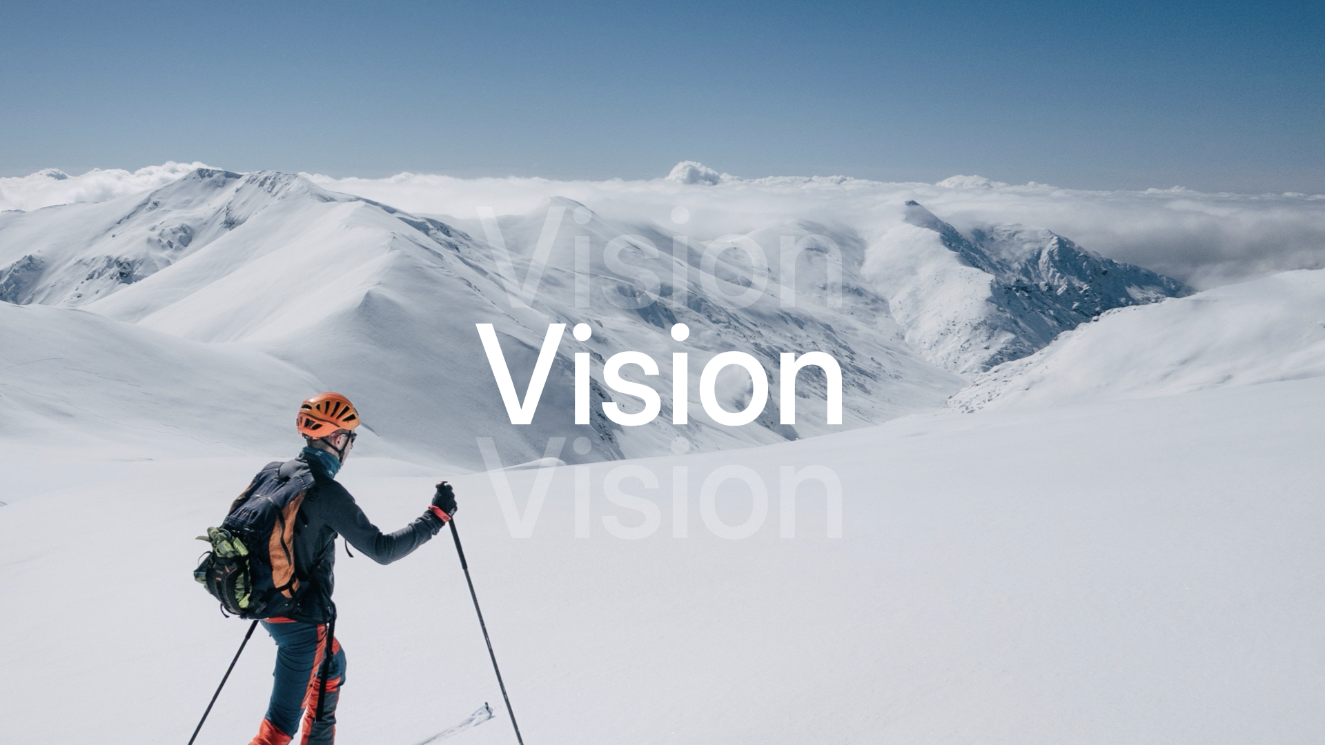 Vision